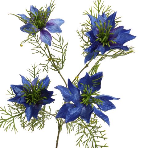NIGELLA 65CM COBALT BLUE