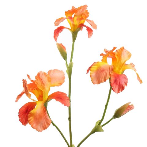 IRIS 82CM ORANGE