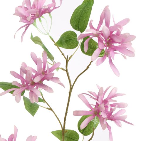 LONICERA 91CM LAVENDER