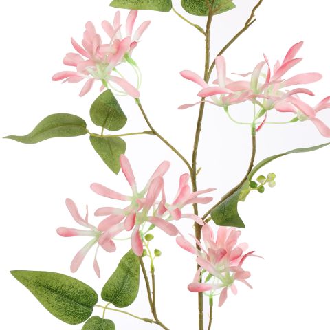 LONICERA 91CM PINK