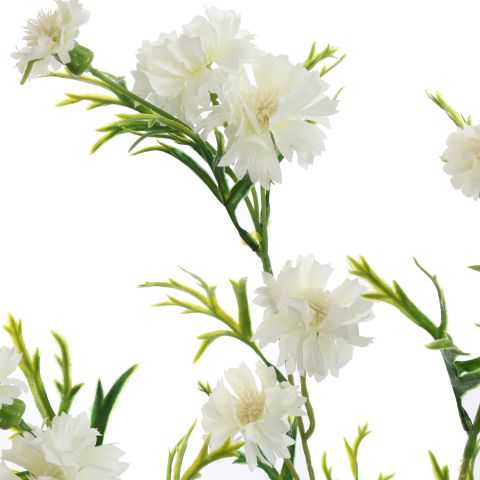CORNFLOWER 71CM CREAM