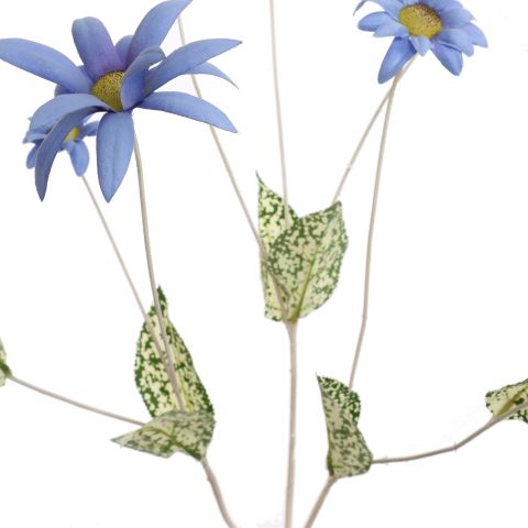 COLORED STEM EDELWEISS 91CM BLUE