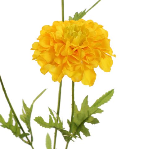 MARIGOLD 65CM YELLOW