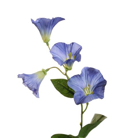 CAMPANULA 61CM BLUE