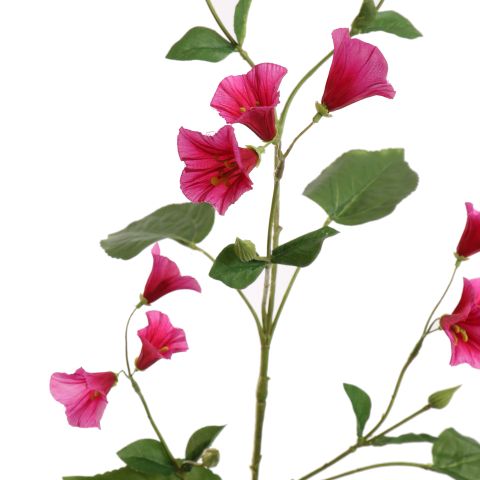 CAMPANULA SPRAY 99CM BEAUTY