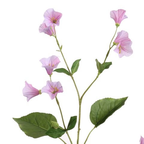 CAMPANULA SPRAY 99CM LILA