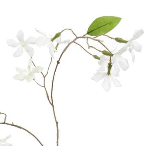 STEPHANOTIS 97CM CREAM