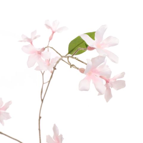 STEPHANOTIS 97CM PINK