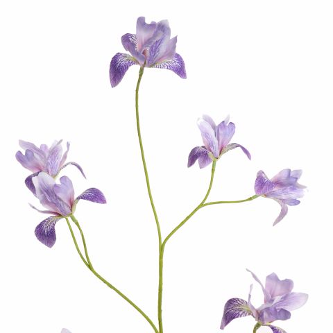 MINI IRIS SPRAY 105CM PURPLE