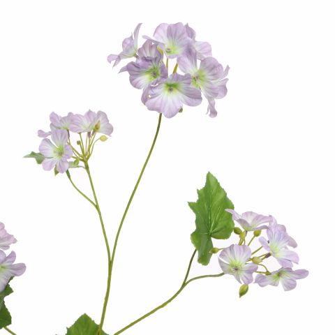 BEGONIA SPRAY 105CM LILA