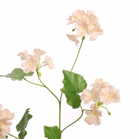 BEGONIA SPRAY 105CM PEACH