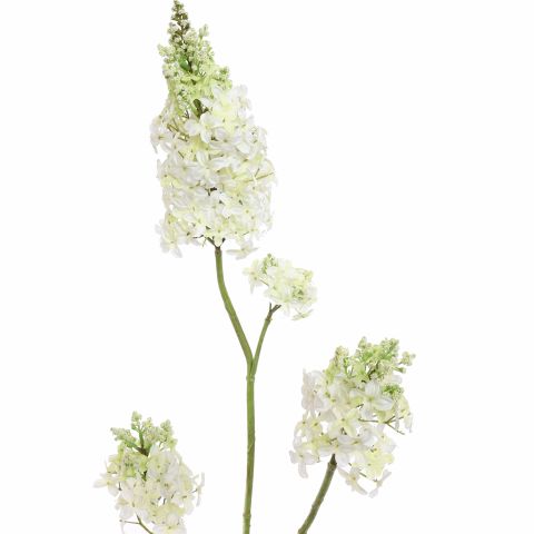 LILAC X 3 110CM CREAM