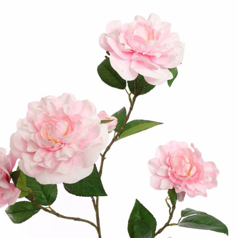 CAMELIA JOAN TREHANE 100CM PINK