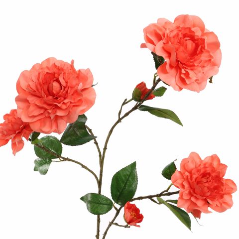 CAMELIA JOAN TREHANE 100CM SALMON