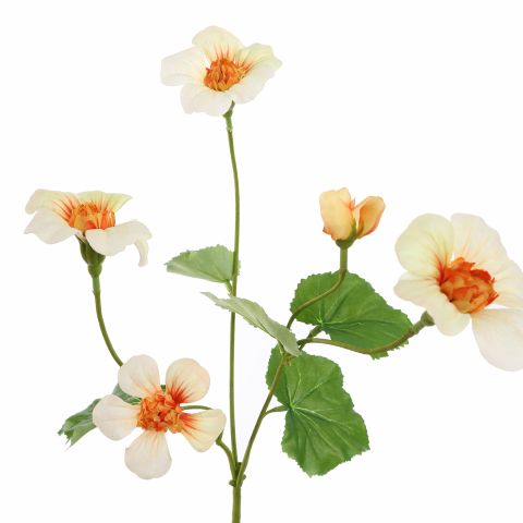 NASTURTIUM FLOWER 68CM PEACH