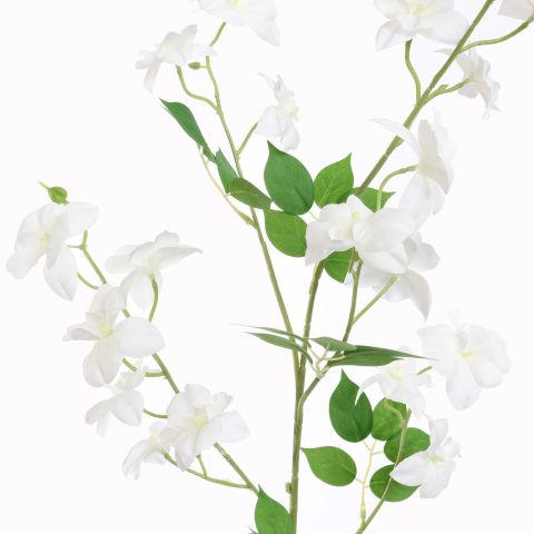 SWEET PEA 100CM CREAM