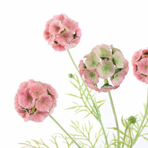 SCABIOSA POD SPRAY 60CM PINK