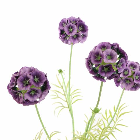 SCABIOSA POD SPRAY 60CM PURPLE
