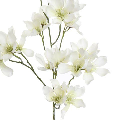 WILD MAGNOLIA SPRAY 85CM CREAM
