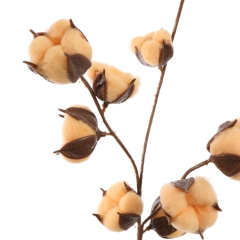 COTTON BRANCH 65CM PEACH