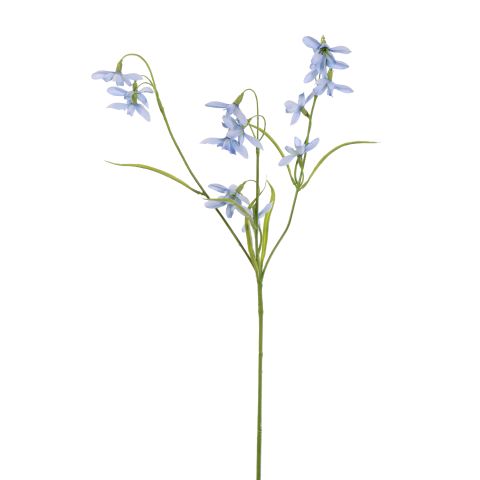 40410184-bl.jpg