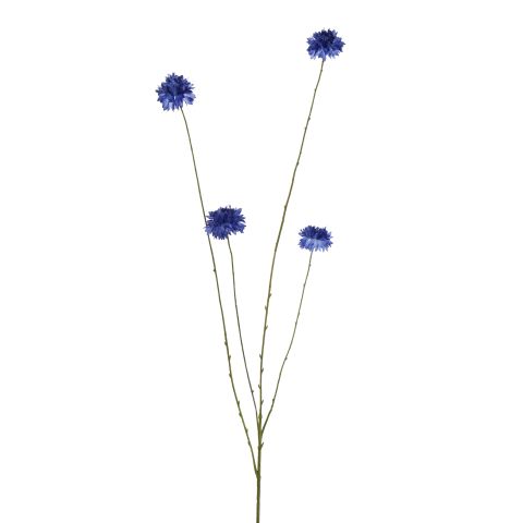 40410186-bl.jpg