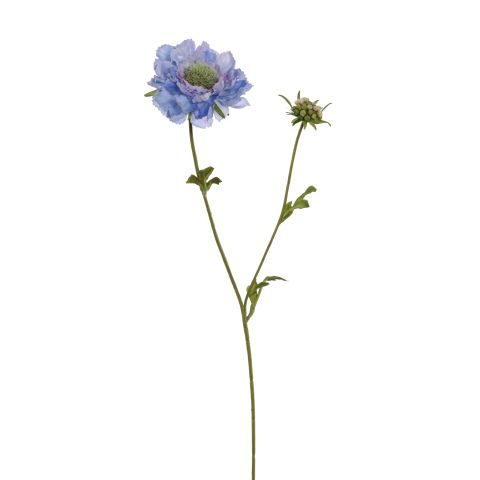 40410187-bl.jpg