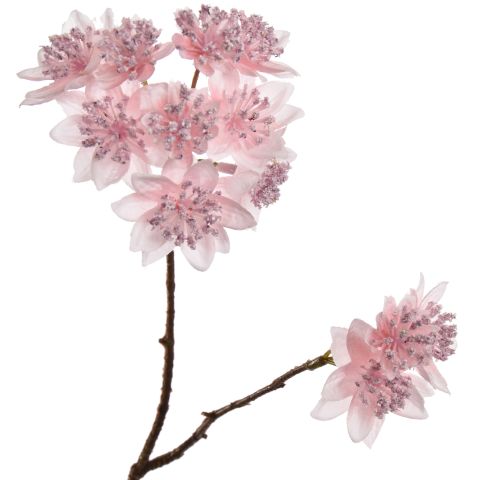 ASTRANTIA BRANCH 70CM PINK