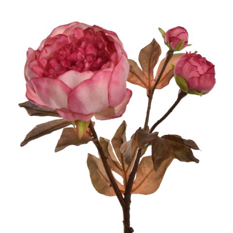 BALL PEONY SPRAY 60CM BEAUTY