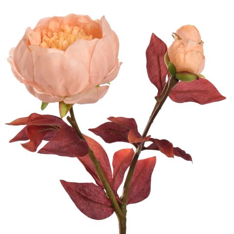 BALL PEONY SPRAY 60CM PEACH