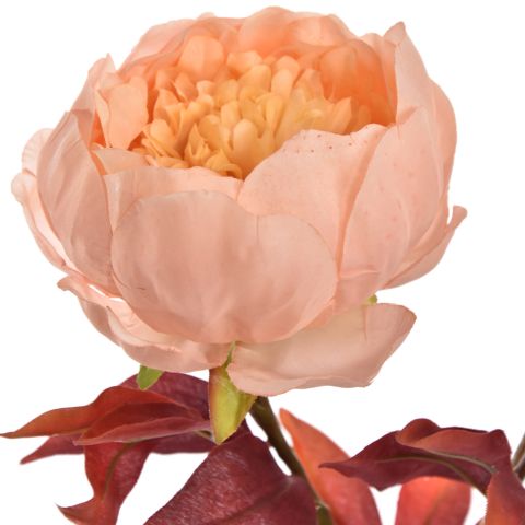 BALL PEONY SPRAY 60CM PEACH