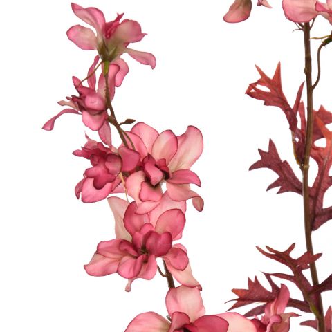 DELPHINIUM 95CM BEAUTY