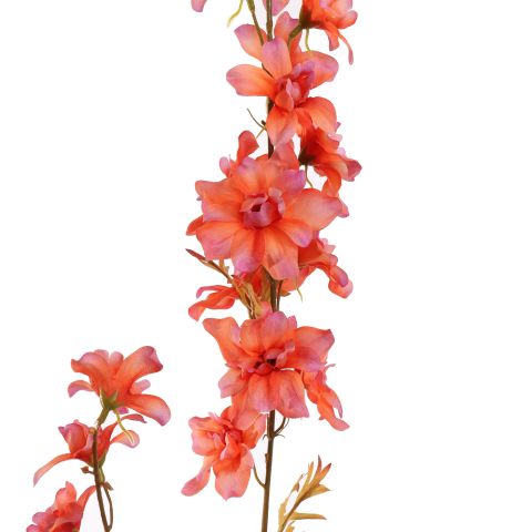 DELPHINIUM 95CM CORAL