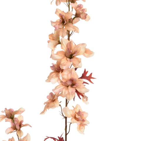 DELPHINIUM 95CM PEACH