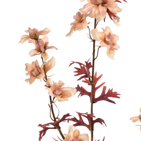 DELPHINIUM 95CM PEACH