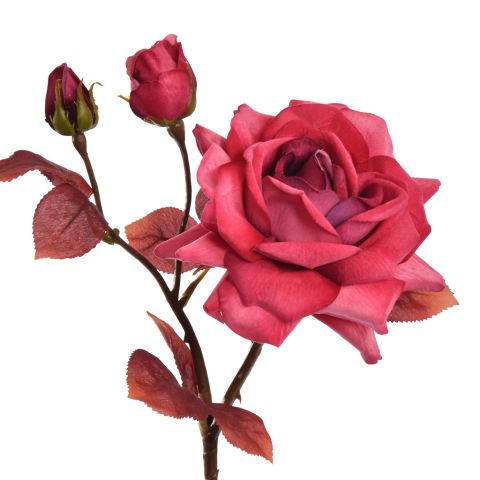 OPEN ROSE SPRAY 60CM VELVET FUCHSIA