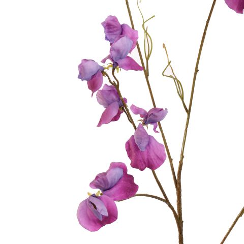 SWEET PEA 117CM PURPLE