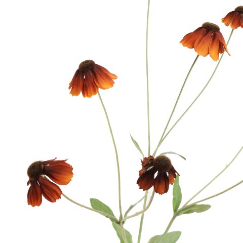 RUDBECKIA SPRAY 88CM BROWN