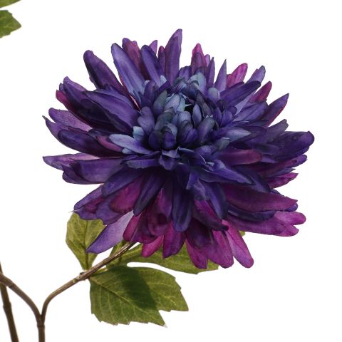 MUM SPRAY 105CM BLUE