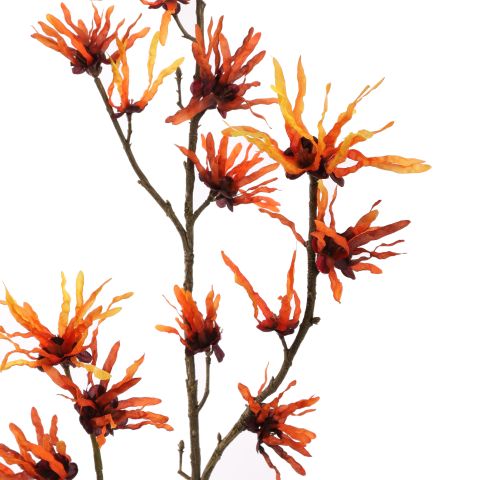 HAMAMELIS 98CM ORANGE
