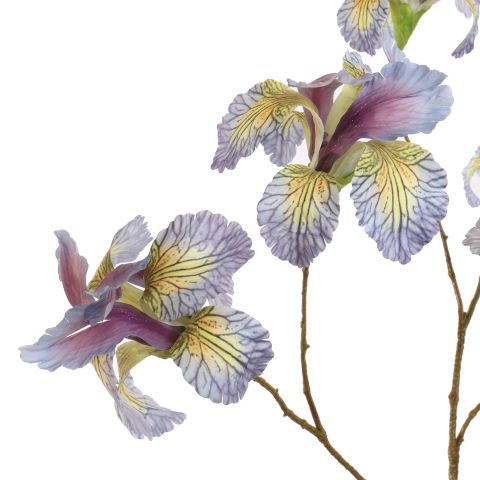 IRIS SPRAY 113CM BLUE