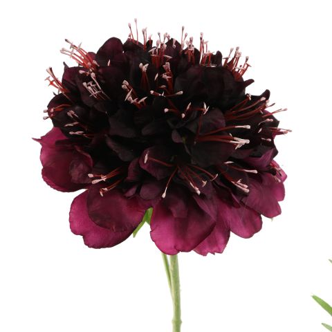 SCABIOSA FLOWER 79CM PURPLE