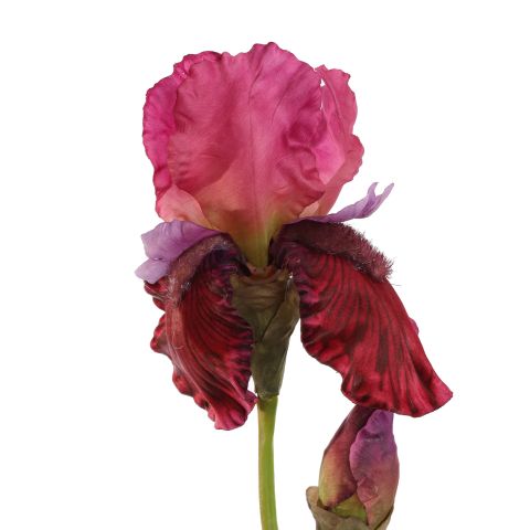 IRIS SPRAY 79CM BEAUTY
