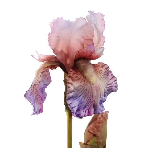 IRIS SPRAY 79CM LAVENDER