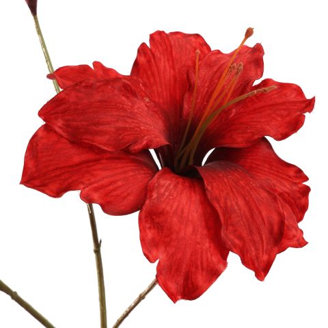 AMARYLLIS 88CM RED