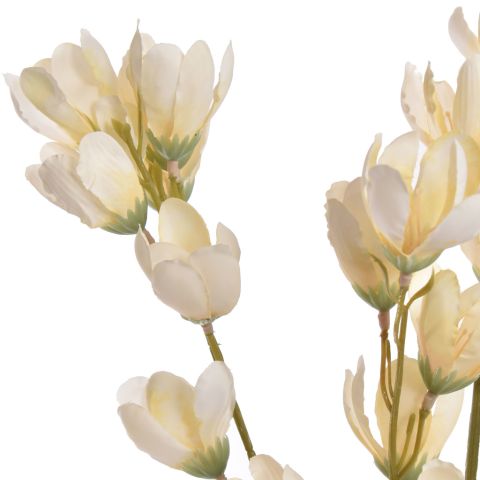 PISTACHIO FLOWER 105CM CREAM