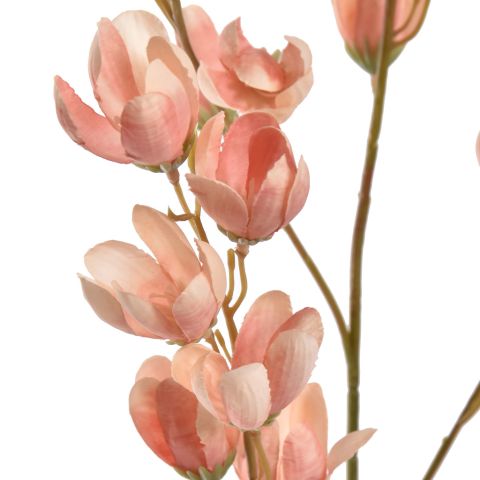 PISTACHIO FLOWER 105CM PEACH