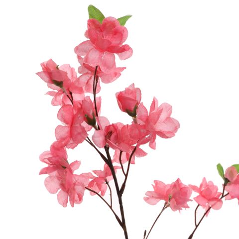BLOSSOM BRANCH 90CM BEAUTY