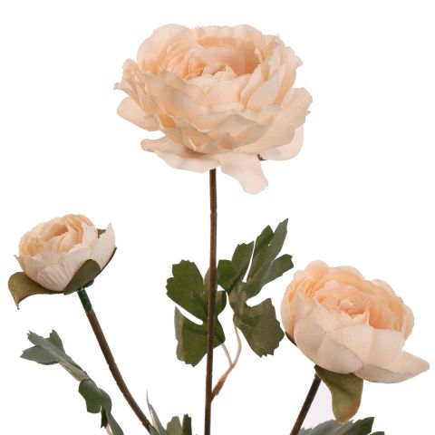RANUNCULUS 60CM PEACH