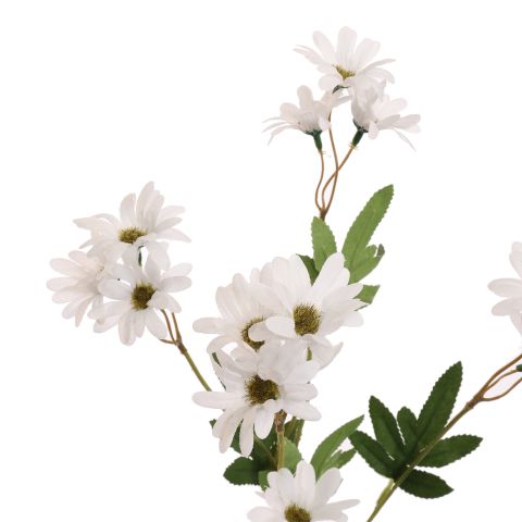DAISY SPRAY 65CM CREAM